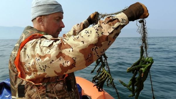 Байкал без ядовитого привкуса. Как дайвер из Иркутска спасает ценных обитателей озера - новости экологии на ECOportal