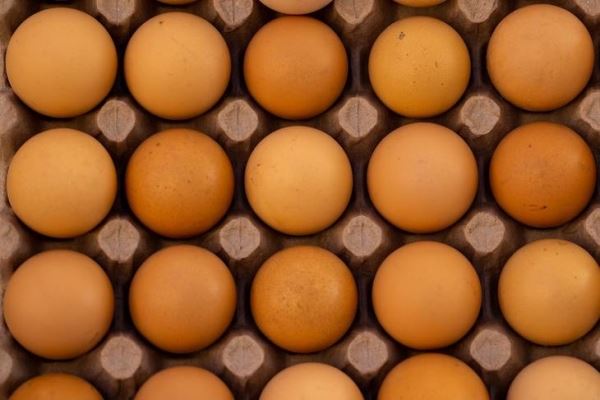 Кузбасс остается одним из лидеров Сибири по производству яйца в 2021 году