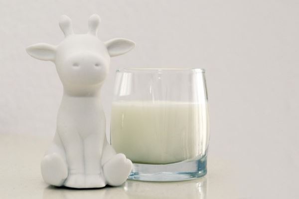 Объем реализации молока в сельхозорганизациях вырос на 2,9%