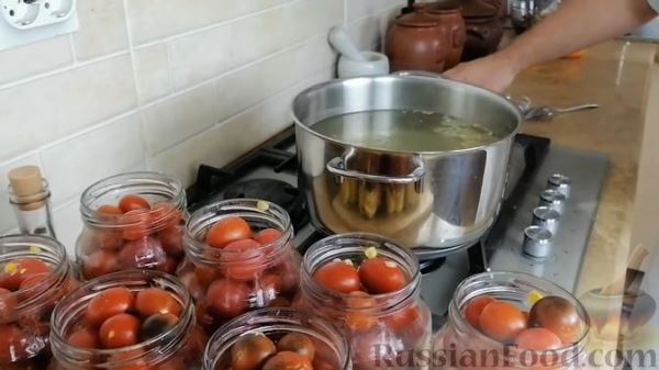 Помидоры по-мурмански (помидоры с кукурузой и базиликом на зиму)
