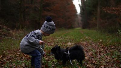 Каким правилам поведения научить ребенка на случай встречи с бездомной собакой - новости экологии на ECOportal