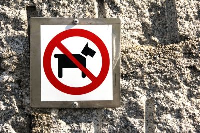Раскрыта неожиданная опасность собак - новости экологии на ECOportal