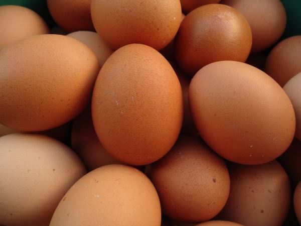 С полок  магазинов Тайваня исчезли куриные яйца