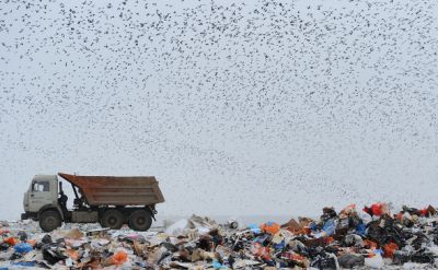 Самой быстрорастущей отраслью 2021 года в России стала мусорная - новости экологии на ECOportal