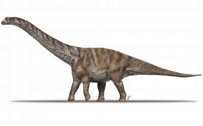 Ученые описали обнаруженный в Пиренеях новый вид крупного титанозавра - новости экологии на ECOportal