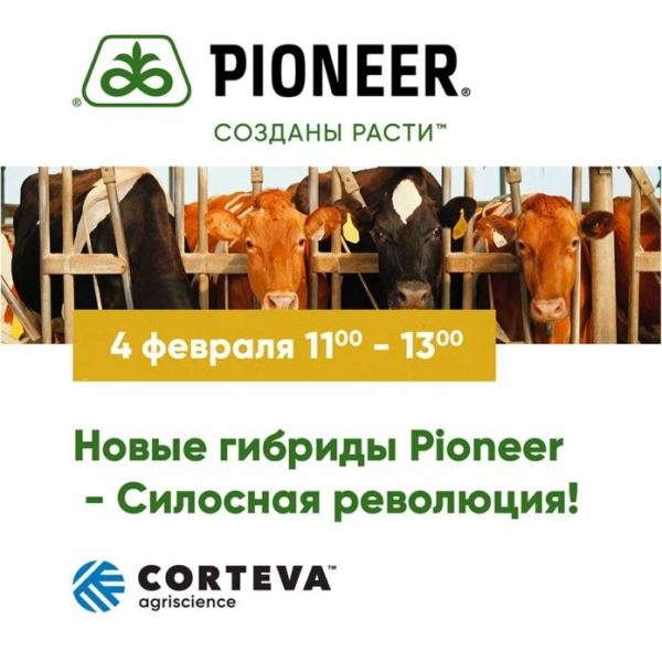 Новые гибриды Pioneer — Силосная революция!