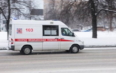 В Переславле-Залесском женщина погибла после нападения бродячих собак - новости экологии на ECOportal